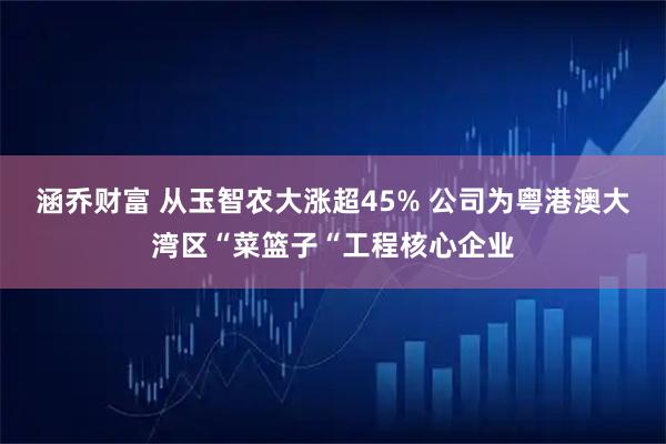 涵乔财富 从玉智农大涨超45% 公司为粤港澳大湾区“菜篮子“工程核心企业